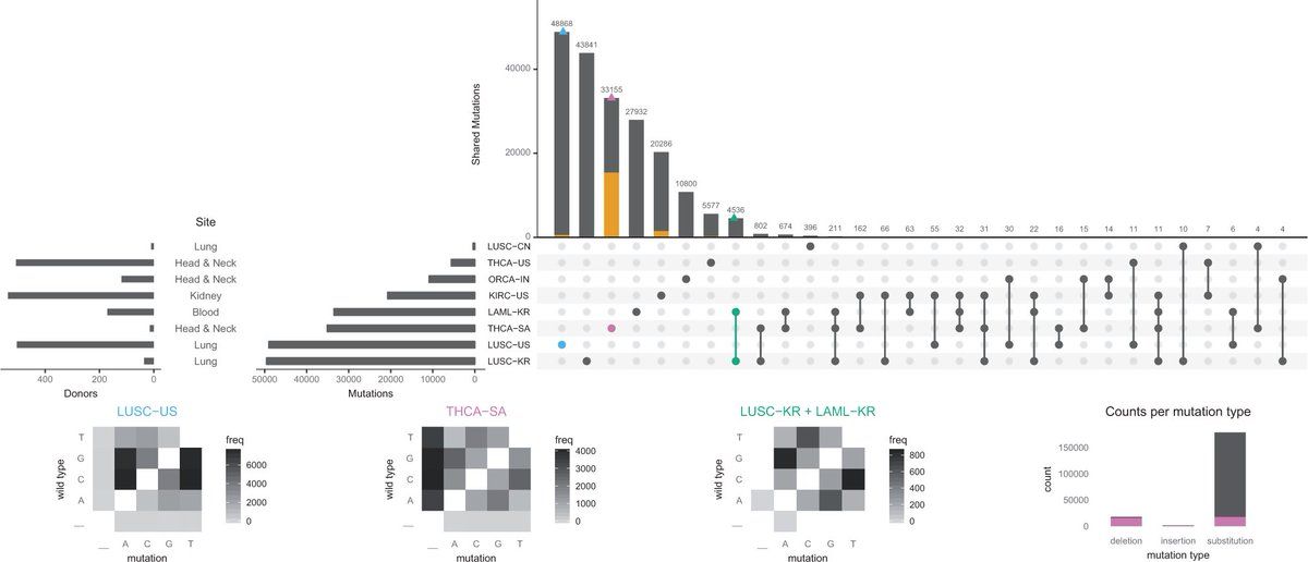 https://www.ncbi.nlm.nih.gov/pmc/articles/PMC4720993/